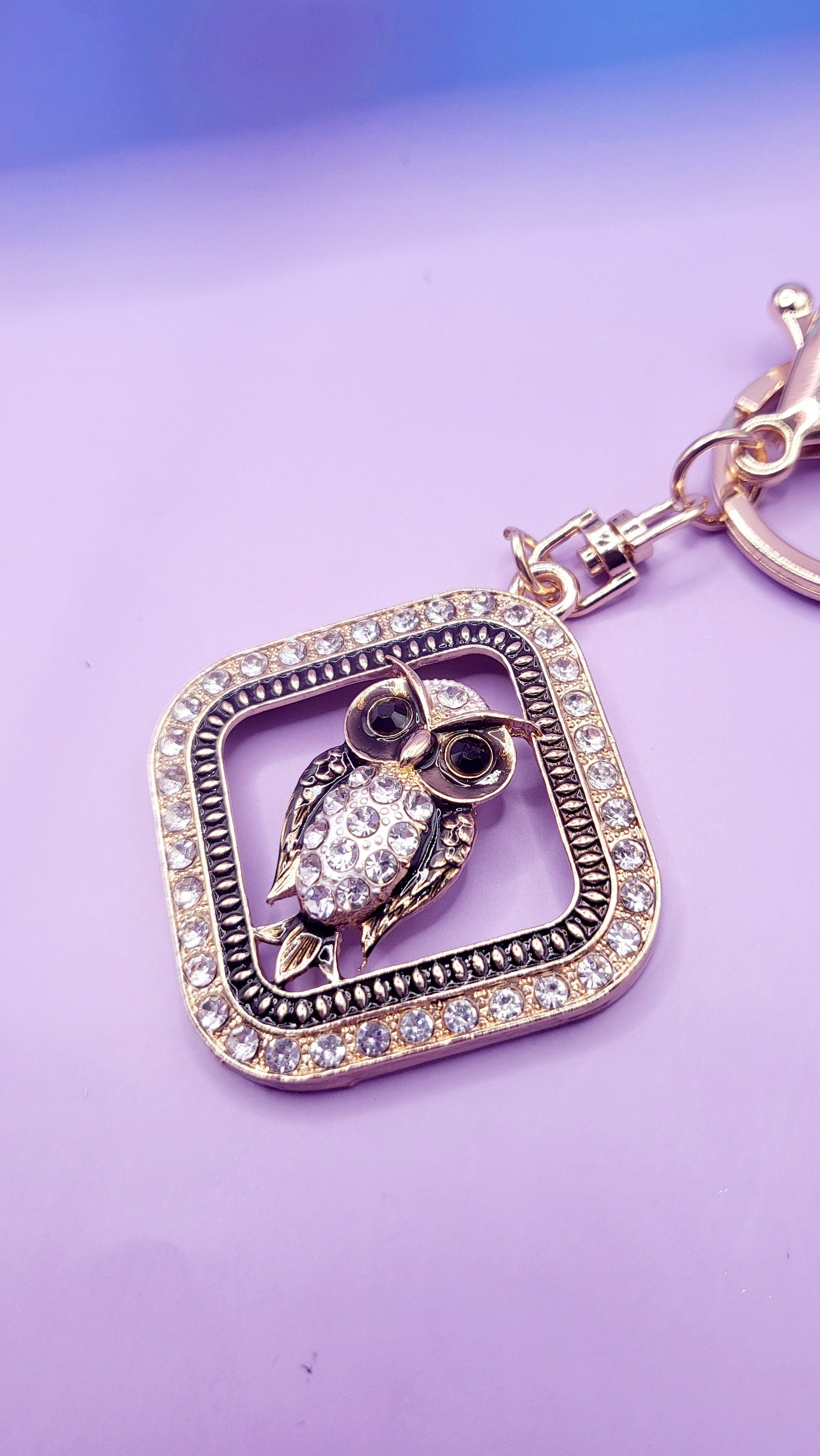 Angry Owl Key Ring