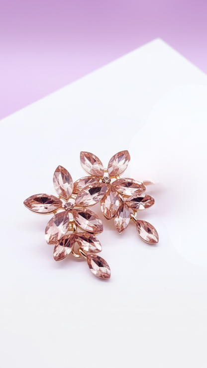 Eternal Crystal Drop and Dangle Earrings