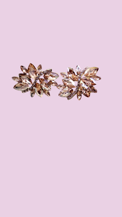 Dreamy Crystal Stud Earrings