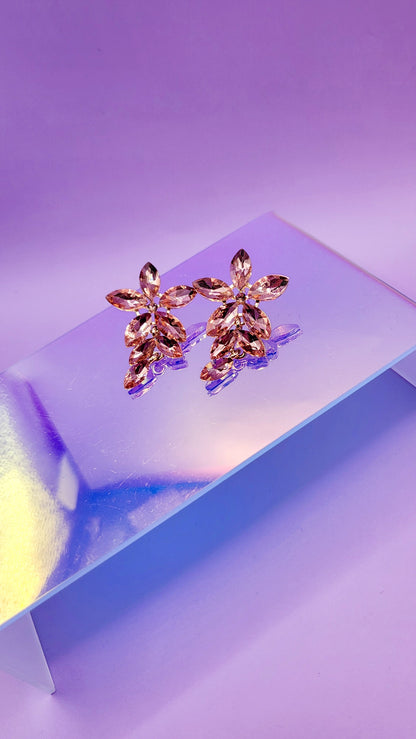Eternal Crystal Drop and Dangle Earrings