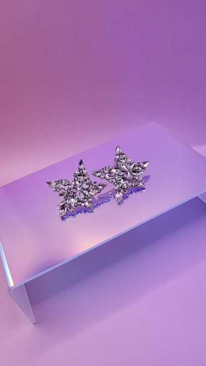 Star Crystal Earrings ER5609